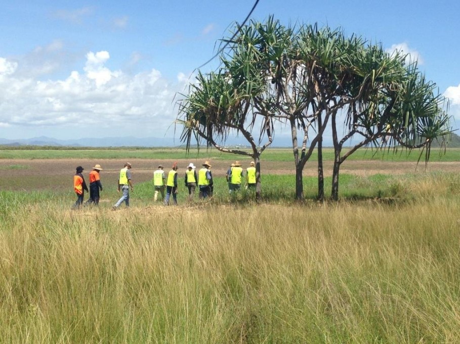 Working in groups the Conservation volunteers help eradicate exotic plants and pest pest to allow our flaura and fauna to florish.