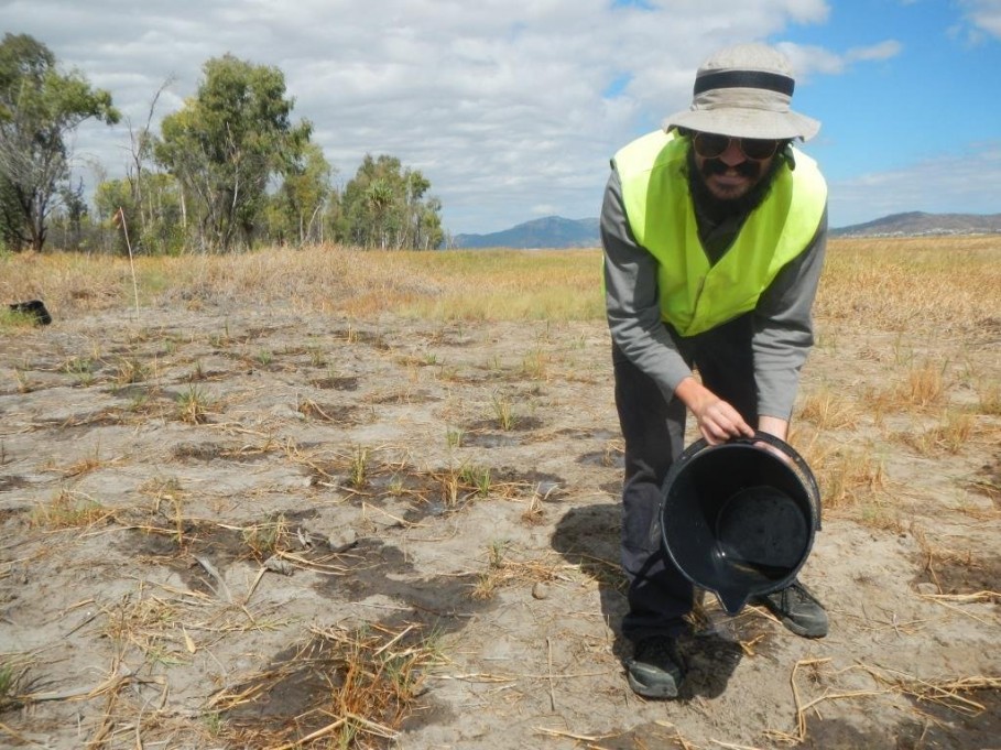 By replanting areas with native vegitation we help ensure the local wildlife have a place to live.